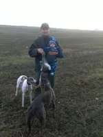 12042011240.webp