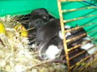 100_7459.webp