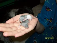 100_7495.webp
