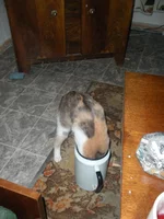 DSCN0211.webp