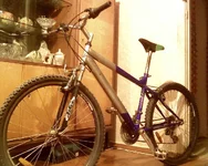 Image1.webp