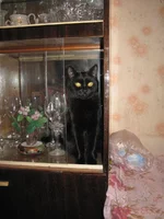 _Мишлинка.webp