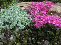 IMG_8049.webp