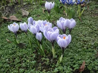 IMG_3371.webp