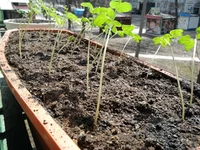 2011-04-18 12.28.18.webp