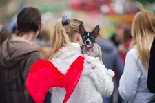 x_334f6484.webp