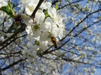 DSC02951.webp