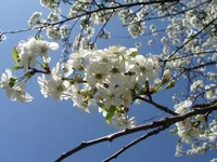 DSC02952.webp