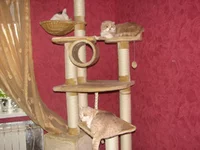 IMG_8136.webp