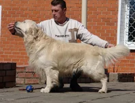  17 апреля 2011 039.webp