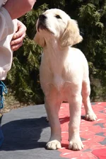 17 апреля 2011 051.webp