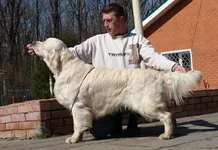  17 апреля 2011 022.webp