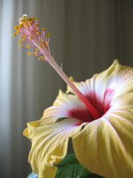 2010 845.jpg