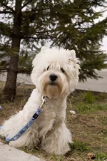 DSC_1282.webp