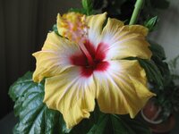 2010 838.jpg