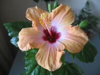 2010 864.jpg