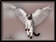 angelcat.webp