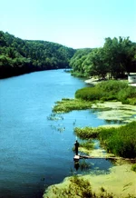 img145-1_1.webp