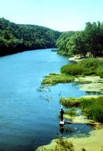 img145-1_1crop.jpg