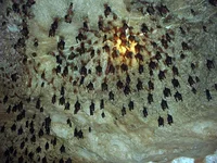 trip 307.webp
