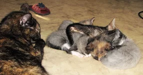 IMG_9663.webp IMG_9663.webp