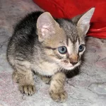 IMG_0382.webp IMG_0382.webp