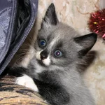 IMG_0383.webp IMG_0383.webp