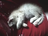 DSC00001.webp DSC00001.webp