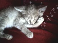 DSC00006.webp DSC00006.webp