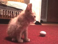 DSC00028.webp DSC00028.webp