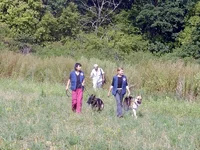 rex_kena.webp