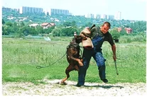  26.01.2007 18-44_000.webp