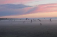Picture 093.webp