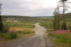 Picture 135.webp