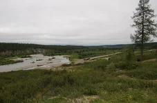 Picture 142.webp