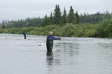 Picture 267.webp