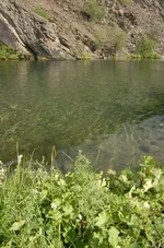 Picture 014.webp