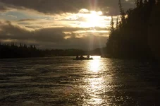 Picture 183.webp