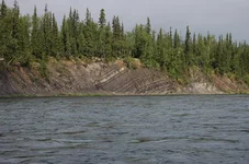 Picture 276.webp