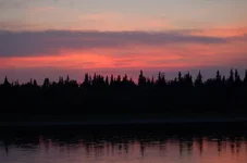 Picture 148.webp