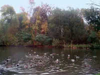  биолек.webp