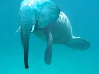 fishki.net__63284871.webp
