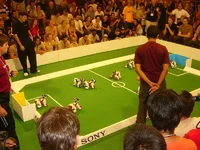 AIBOplaying_1small.JPG