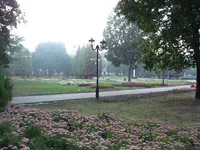 IMG_1012_res1600.webp
