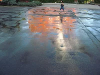 IMG_1070_res1600.webp