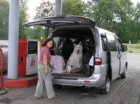 _01inthevan.webp