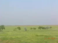 .webp