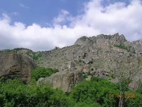 _850173.webp