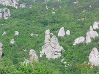 _867680.webp