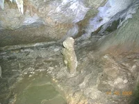 _428055.webp